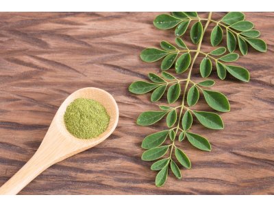 Moringa Olejodárná